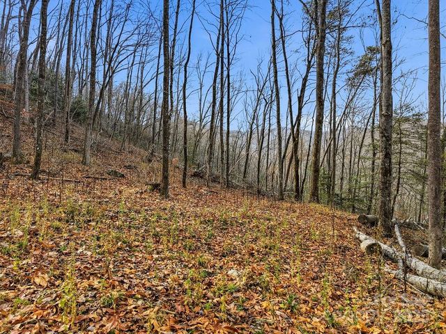 00 Barkers Creek Road, Whittier, NC 28789