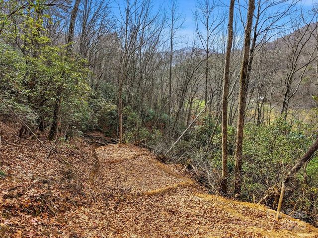 00 Barkers Creek Road, Whittier, NC 28789