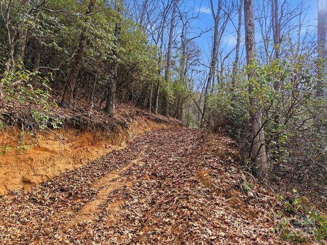 00 Barkers Creek Road, Whittier, NC 28789