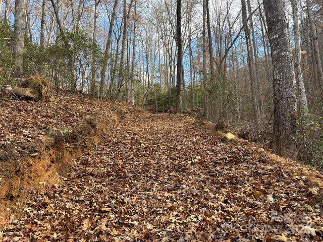 00 Barkers Creek Road, Whittier, NC 28789