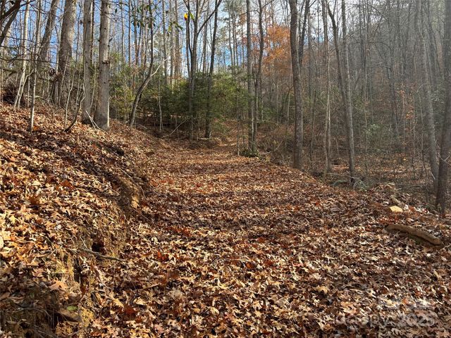 00 Barkers Creek Road, Whittier, NC 28789