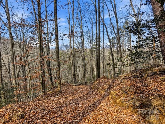 00 Barkers Creek Road, Whittier, NC 28789