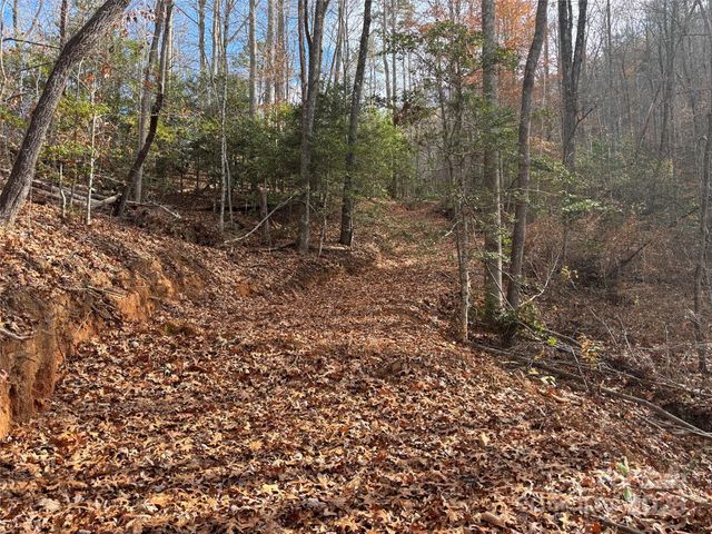 00 Barkers Creek Road, Whittier, NC 28789