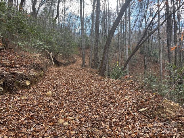 00 Barkers Creek Road, Whittier, NC 28789