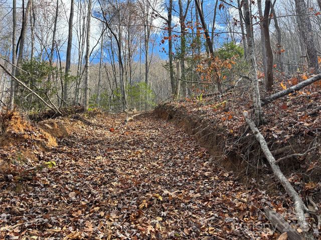 00 Barkers Creek Road, Whittier, NC 28789