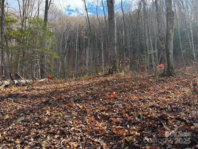 00 Barkers Creek Road, Whittier, NC 28789