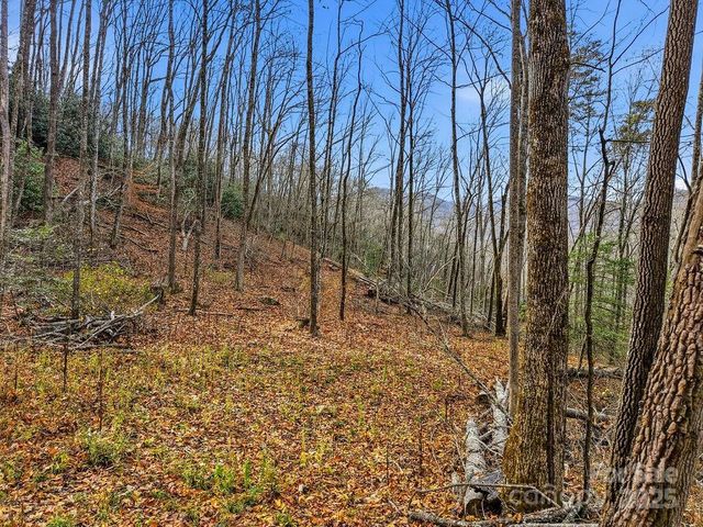 00 Barkers Creek Road, Whittier, NC 28789