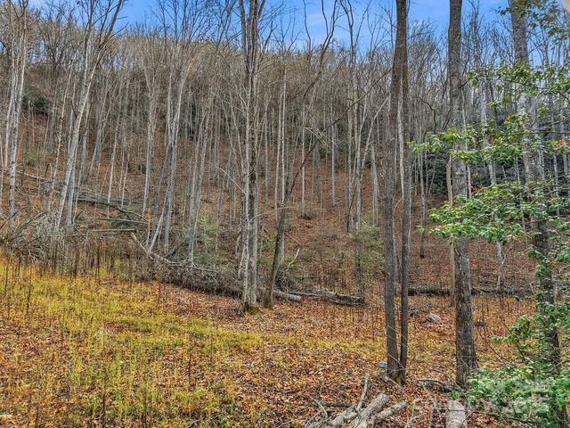 00 Barkers Creek Road, Whittier, NC 28789