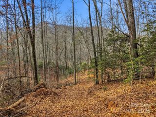 00 Barkers Creek Road, Whittier, NC 28789