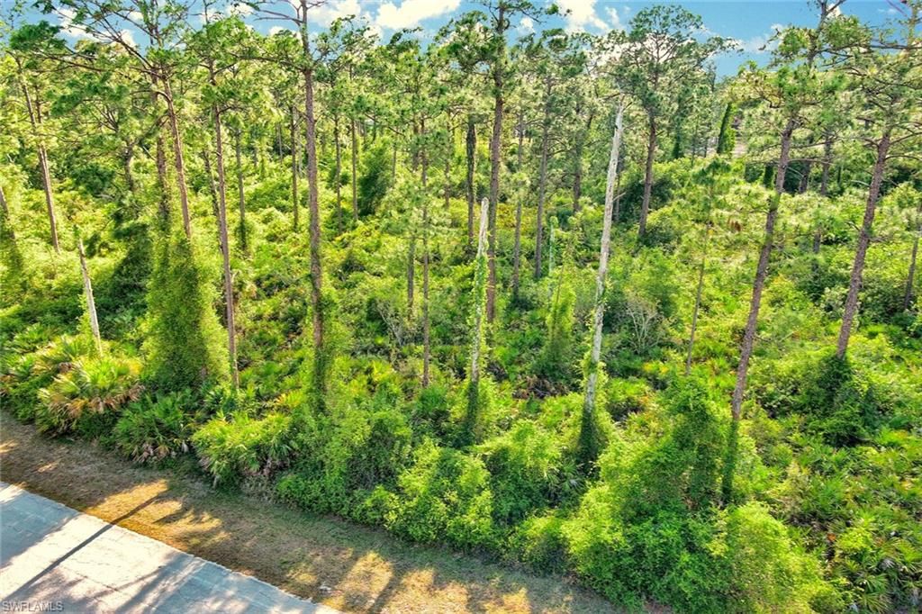 2019 Columbus AVE, ALVA, FL 33920 — photo 2