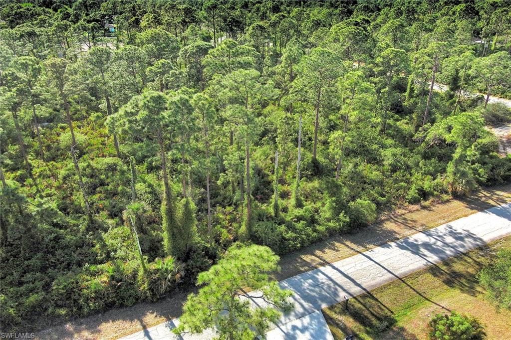 2019 Columbus AVE, ALVA, FL 33920 — photo 4