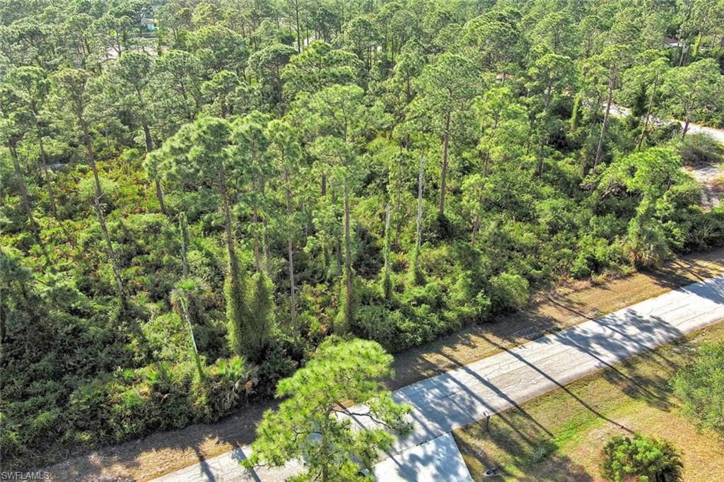 2019 Columbus AVE, ALVA, FL 33920 — photo 5