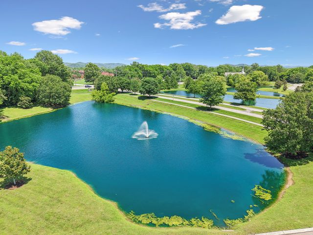 3113 Friars Bridge Pass, Franklin, TN 37064