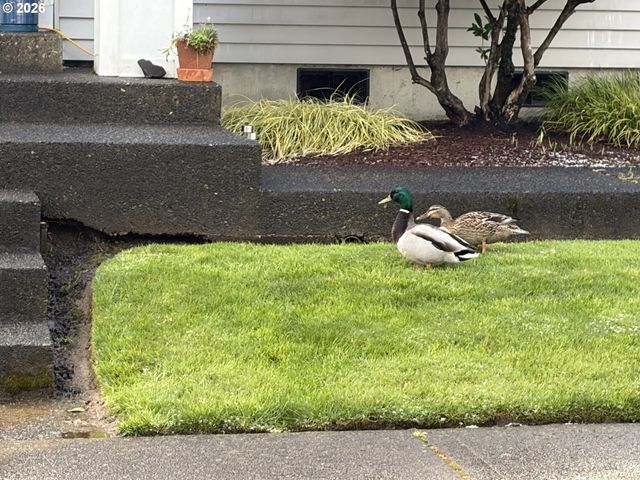 9013 Sw PIPPEN Ln Sw, Tigard, OR 97224