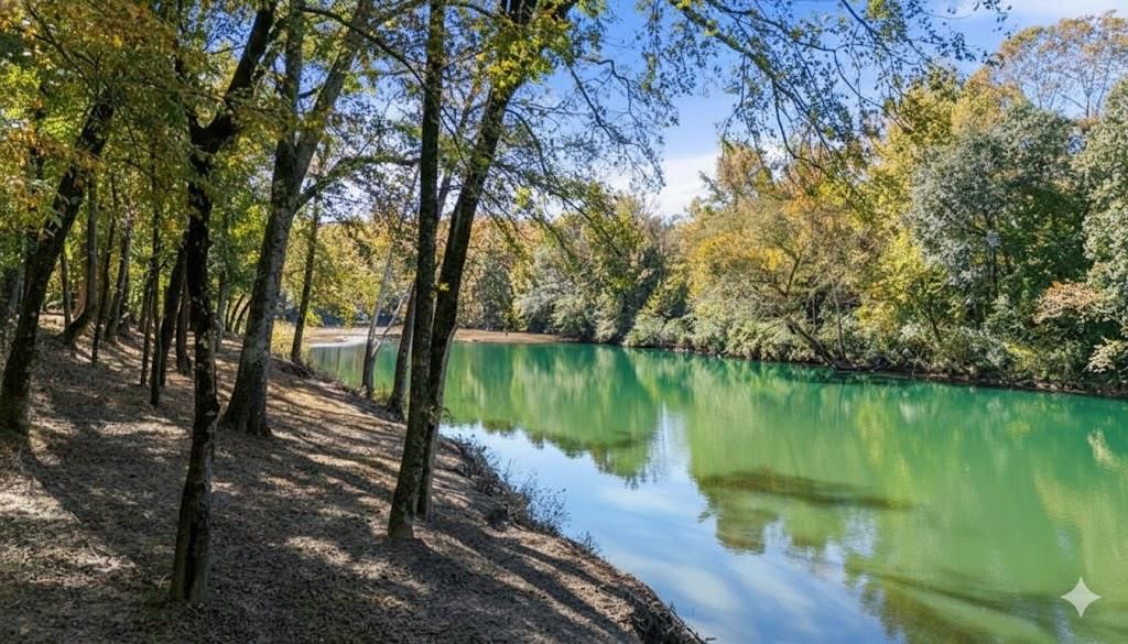 Image 5 of property listing at 871 Riverview Road, Smithville, OK 74957