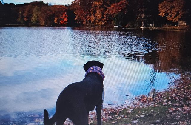 70 Kent Shore Drive, Carmel, NY 10512