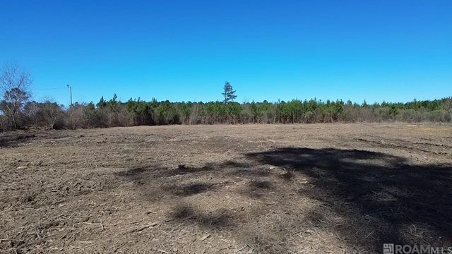 Parcel 2-B12 Leroy Nesom Road, Pine Grove, LA 70453