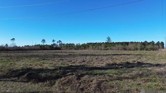 Parcel 2-B12 Leroy Nesom Road, Pine Grove, LA 70453
