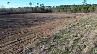 Parcel 2-B12 Leroy Nesom Road, Pine Grove, LA 70453