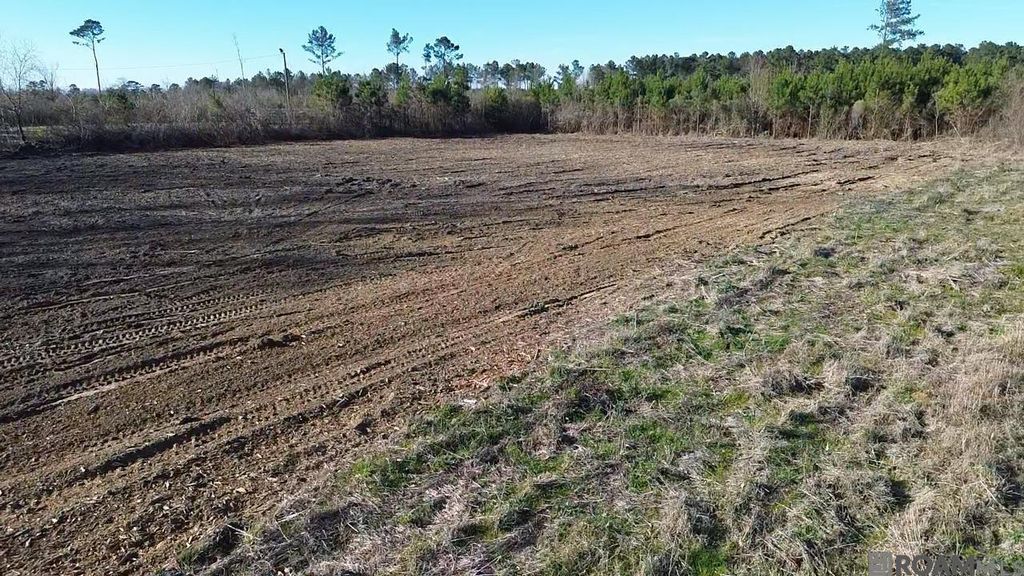 Parcel 2-B12 Leroy Nesom Road, Pine Grove, LA 70453