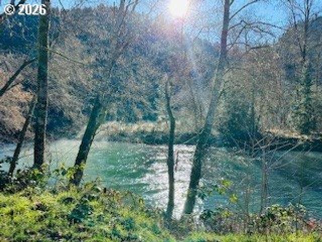 76248 Garden Rd, Oakridge, OR 97463