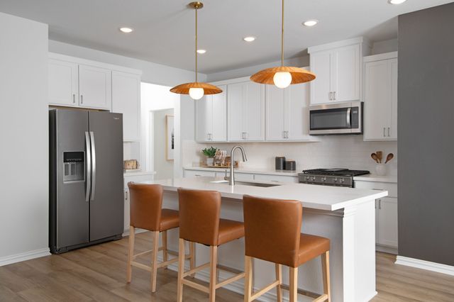 137 Babble Run Drive, Little Elm, TX 75068