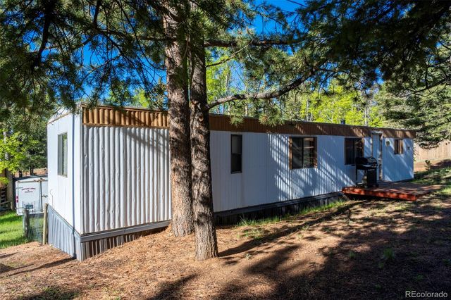 310 Blossom Road, Woodland Park, CO 80863