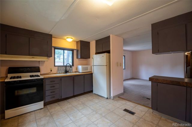 310 Blossom Road, Woodland Park, CO 80863