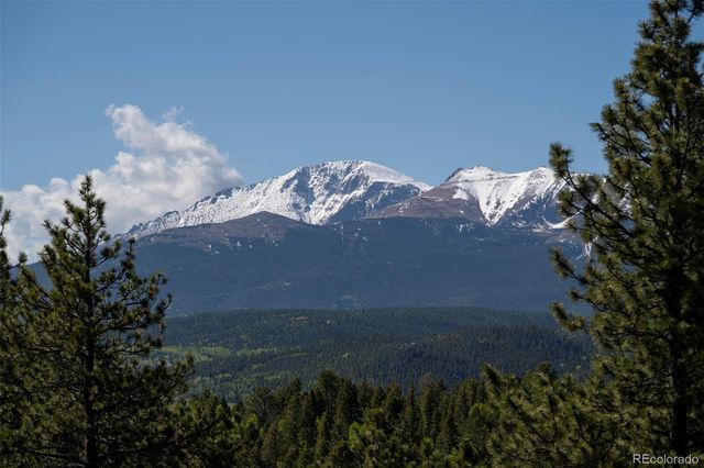 310 Blossom Road, Woodland Park, CO 80863