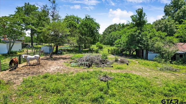 13591 CR 420, Tyler, TX 75704