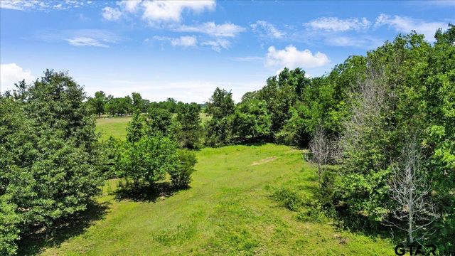 13591 CR 420, Tyler, TX 75704