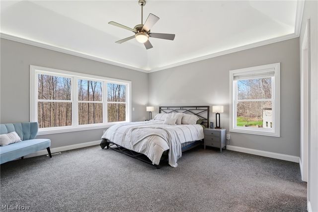 10900 Angela Drive, Kirtland, OH 44094