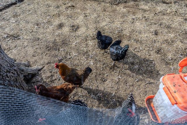 21046 Larson Road, Waynesville, MO 65583