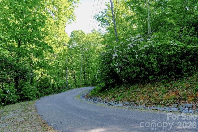 3815 Bat Cave Road, Old Fort, NC 28762