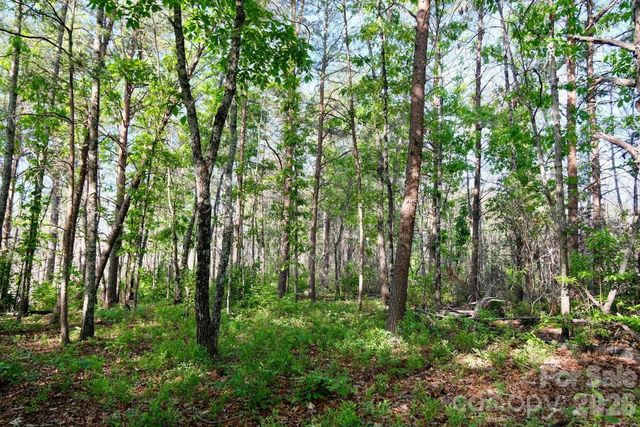3815 Bat Cave Road, Old Fort, NC 28762