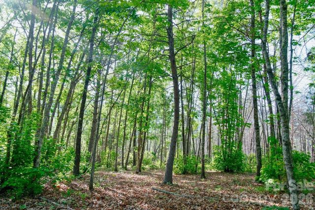 3815 Bat Cave Road, Old Fort, NC 28762