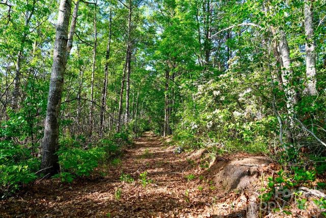 3815 Bat Cave Road, Old Fort, NC 28762
