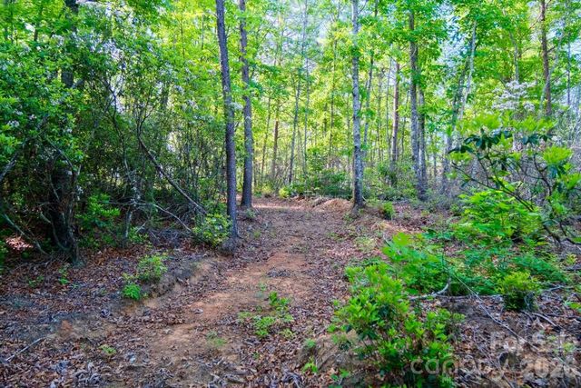 3815 Bat Cave Road, Old Fort, NC 28762