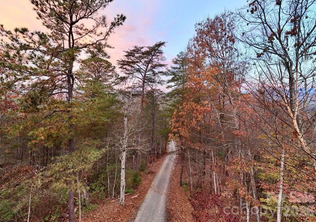3815 Bat Cave Road, Old Fort, NC 28762