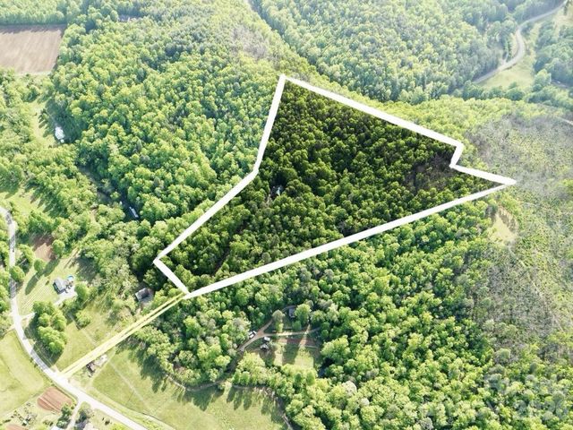 3815 Bat Cave Road, Old Fort, NC 28762