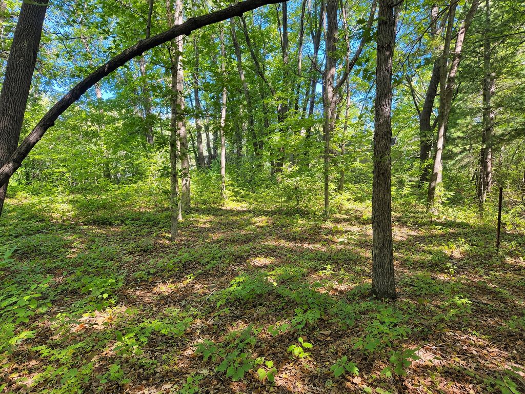 TBD 120th Street, Zimmerman, MN 55398 — exterior