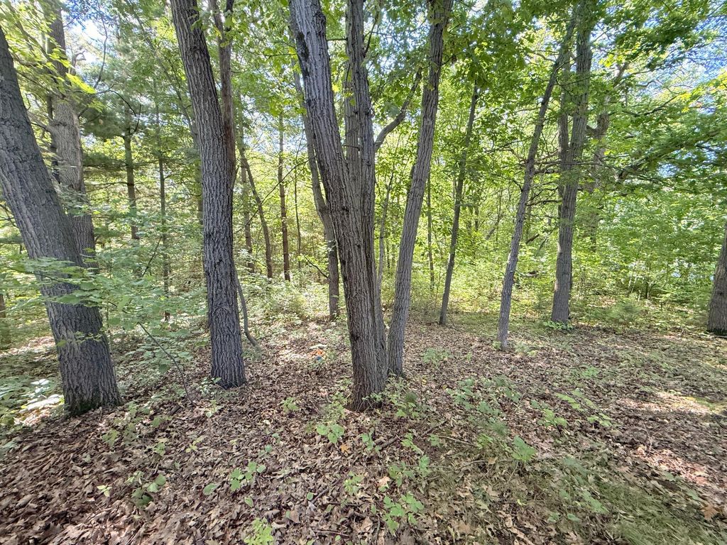 TBD 120th Street, Zimmerman, MN 55398 — photo 3