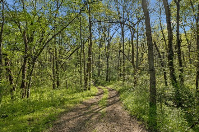 6666 Cross Keys Rd, College Grove, TN 37046