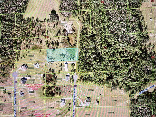 SAN JUAN AVE LOT 29, Polk City, FL 33868