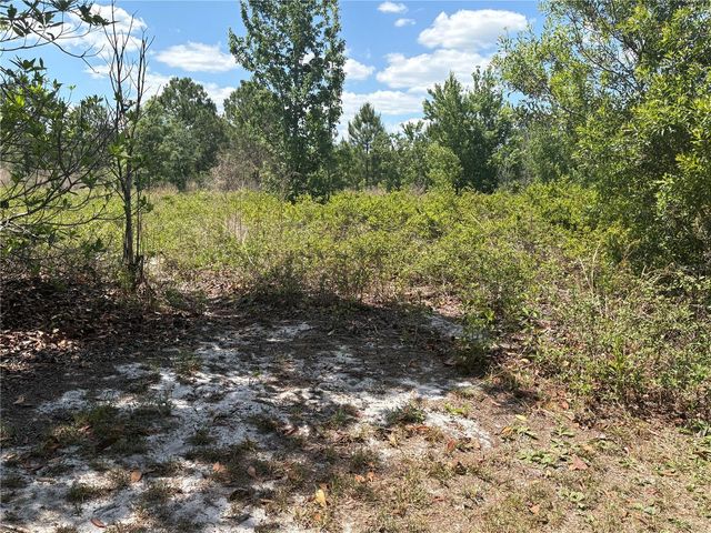 SAN JUAN AVE LOT 29, Polk City, FL 33868