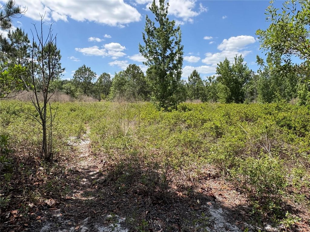 SAN JUAN AVE LOT 29, Polk City, FL 33868