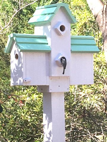 1215 Loblolly Ln., Conway, SC 29526