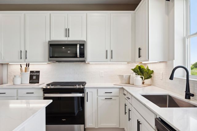 15014 Askeaton Place, Rosemount, MN 55068