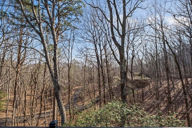 119 Soaring Hawk Circle, Big Canoe, GA 30143