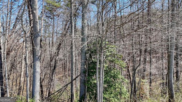 LOT 10 Firefly Ridge, Blairsville, GA 30512